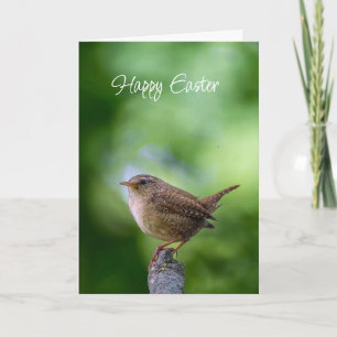 Paas lente winterkoninkje vogel vreugde geluk wens feestdagen kaart