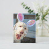 Paas-Ollie Feestdagenkaart (Staand voorkant)