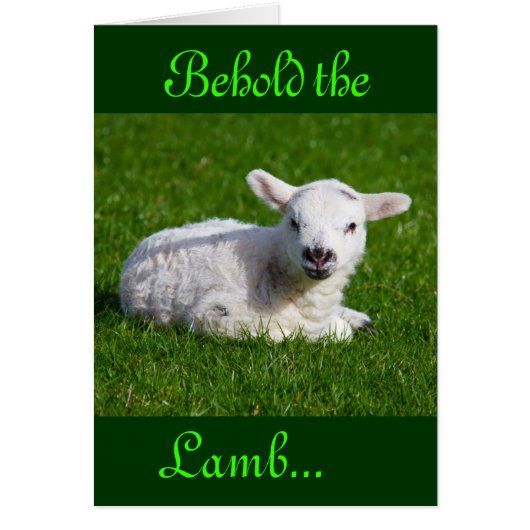 Paasbewaarder de Lamb III (Voorkant)