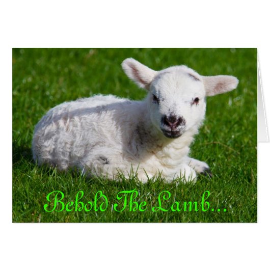 Paasbewaarder de Lamb III (Voorkant Horizontaal)