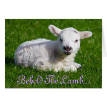 Paasbewaarder de Lamb-ziekteverzekeringskaart