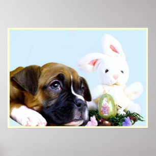 Paasboxerpuppy poster
