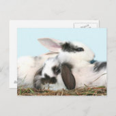 Paasbundels Feestdagenkaart (Voorkant / Achterkant)