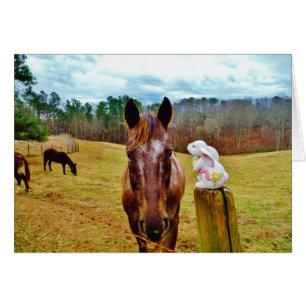 PaasBunny en bruin paard