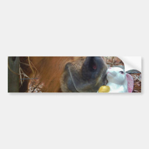 PaasBunny en bruin paard Bumpersticker
