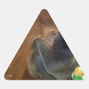 PaasBunny en bruin paard Driehoek Sticker