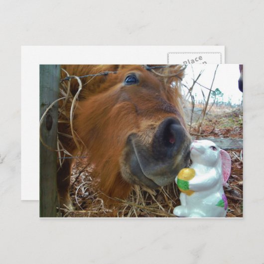 PaasBunny en bruin paard Feestdagenkaart (Voorkant / Achterkant)