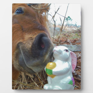 PaasBunny en bruin paard Fotoplaat