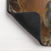 PaasBunny en bruin paard Muismat (Hoek)