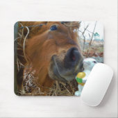 PaasBunny en bruin paard Muismat (Met muis)