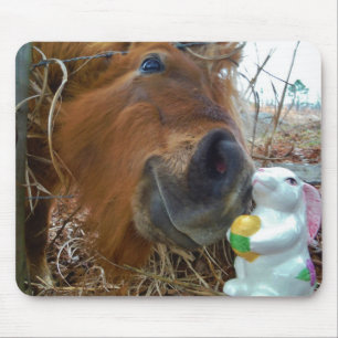 PaasBunny en bruin paard Muismat