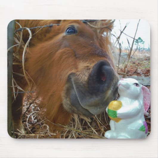 PaasBunny en bruin paard Muismat (Voorkant)