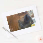 PaasBunny en bruin paard Rechthoekige Sticker (Envelop)