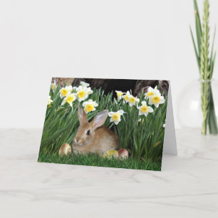 Paasbunny Feestdagen Kaart