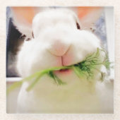 PaasBunny-Onderzetters Glazen Onderzetter (Voorkant)