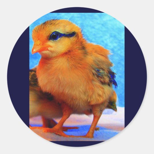 Paaschick-A-Dee Light Ronde Sticker (Voorkant)