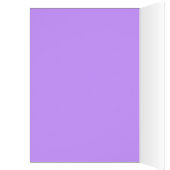 Paaschick III (Binnen (Links))