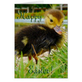 Paaschick III (Voorkant)