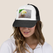 Paaschick Trucker Pet (In situ)