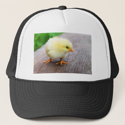 Paaschick Trucker Pet (Voorkant)