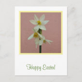 PaasdiolBriefkaart Feestdagenkaart (Voorkant)