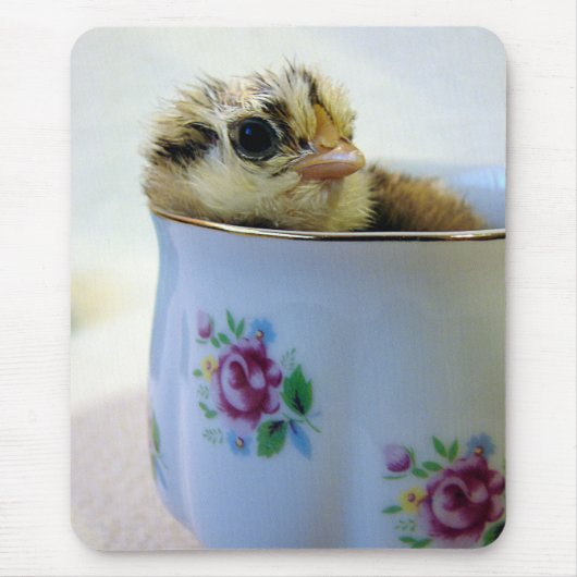 PaasEgger Chick in Cup Muismat (Voorkant)