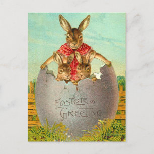 Paaseieren en Bunny Briefkaart