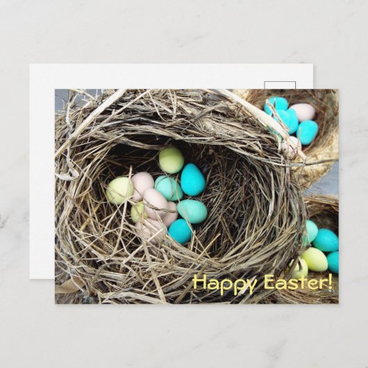 Paaseieren in echte vogelnestfoto feestdagenkaart (Voorkant / Achterkant)