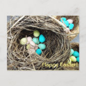 Paaseieren in echte vogelnestfoto feestdagenkaart (Voorkant)