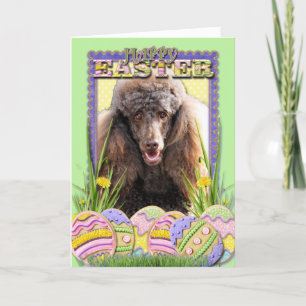 Paaseieren koekjes - Poedel - Chocolade Feestdagen Kaart