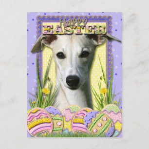 Paaseieren koekjes - Whippet Feestdagenkaart