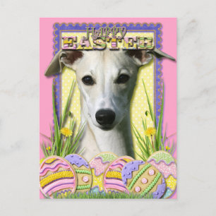 Paaseieren koekjes - Whippet Feestdagenkaart