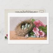  paaseieren, nesten en roze polyanthus briefkaart (Voorkant / Achterkant)
