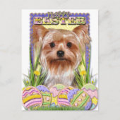 Paaseieren - Yorkshire Terrier Feestdagenkaart (Voorkant)
