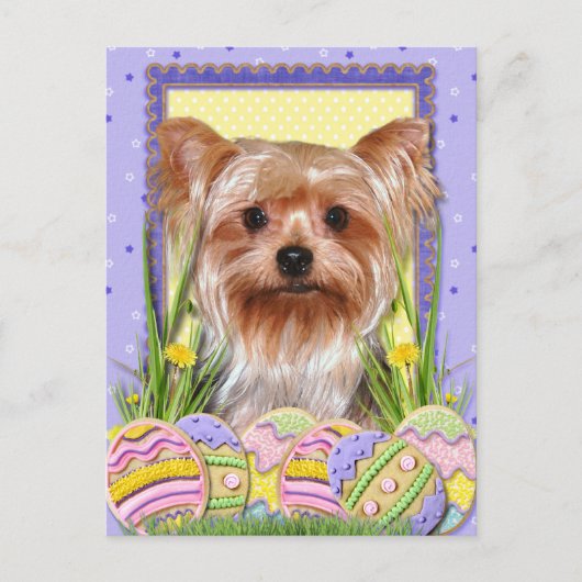 Paaseieren - Yorkshire Terrier Feestdagenkaart (Voorkant)