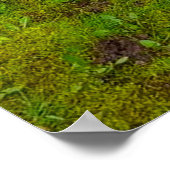 Paaseihunt en partijdeghals Poster (Hoek)