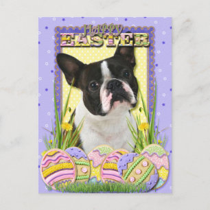 Paaseikoekjes - Boston Terrier Feestdagenkaart