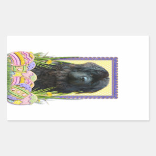 Paaseikoekjes - Newfoundland Rechthoekige Sticker