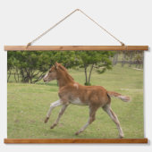 Paaseiland o.b.a. Rapa Nui Hangend Wandkleed (Voorkant)