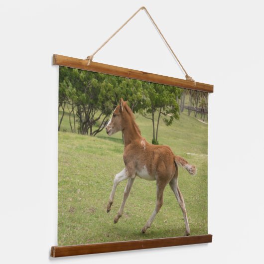 Paaseiland o.b.a. Rapa Nui Hangend Wandkleed (Gebogen)