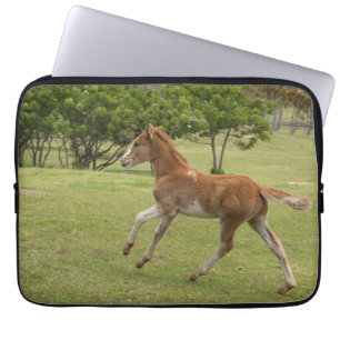 Paaseiland ook bekend als Rapa Nui Laptop Sleeve