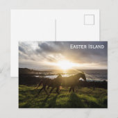 Paaseilanden Paarden Reisfoto Briefkaart (Voorkant / Achterkant)