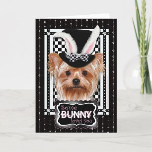 Paasfeest - Some Bunny Loves You - Yorkie Feestdagen Kaart