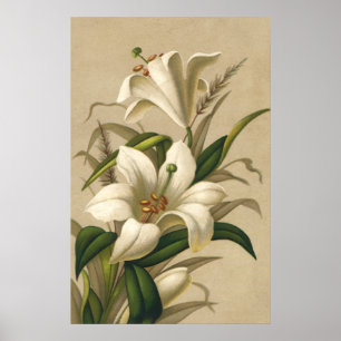  Paasgallen, Victoriaans Bloemen in Bloom Poster
