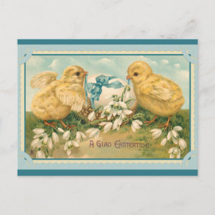 Paasgroet Cute Chick Briefkaart