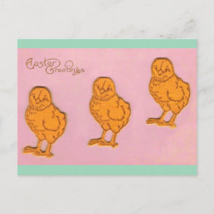 Paasgroeten Chicken Pink Feestdagenkaart