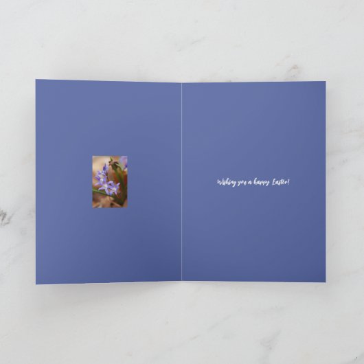 Paasgroeten - Chionodoxa - Kaart (Binnen)