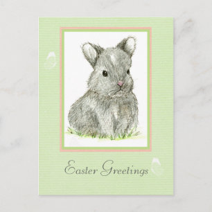 Paasgroeten Grey Baby Bunny Rabbit Feestdagenkaart