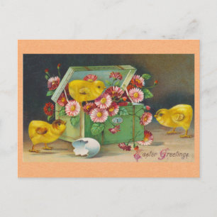 Paasgroeten Schattigee kuikens Bloemen Briefkaart