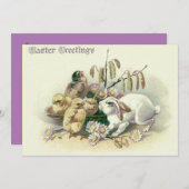 paashaas chick daisy kaart (Voorkant / Achterkant)